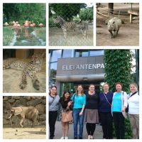 Ferialis Veranstaltung Ausflug in den Zoo