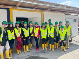 gemeinsamer besuch der u bahn.baustelle am matzleinsdorfer platz. wir durften in einer spannenden fuehrung wissenswertes ueber den ausbau des wiener u bahn netzes erfahren und den fortschritt bestaunen.